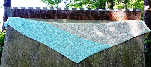 20190627_100333 - Copy