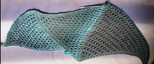 20200627_110255 - Copy (2)